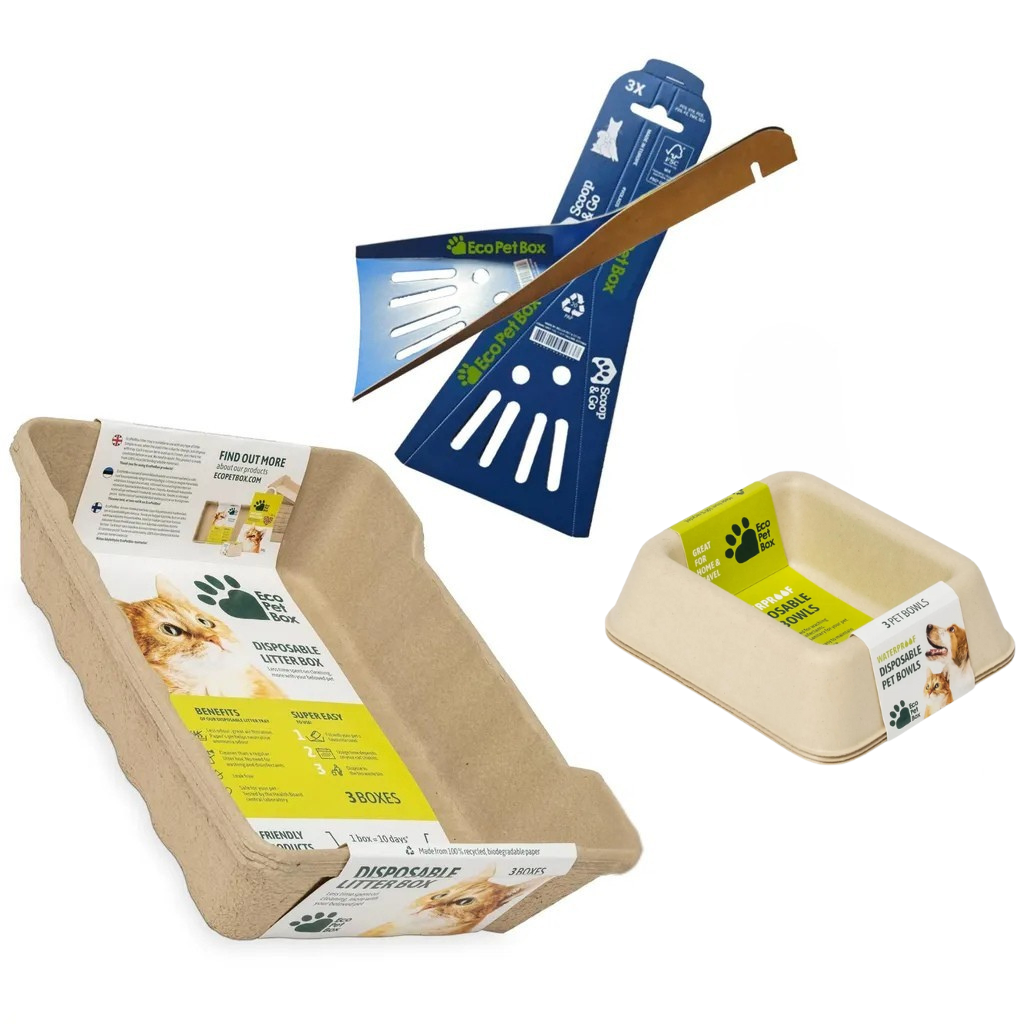 Recyclebare Katzentoilette aus Karton mit hohem Rand