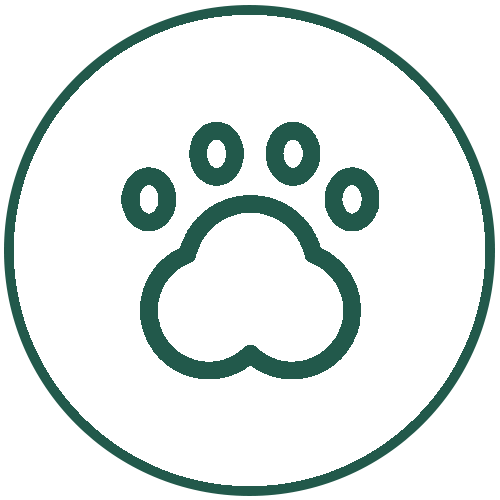 EcoPetBox