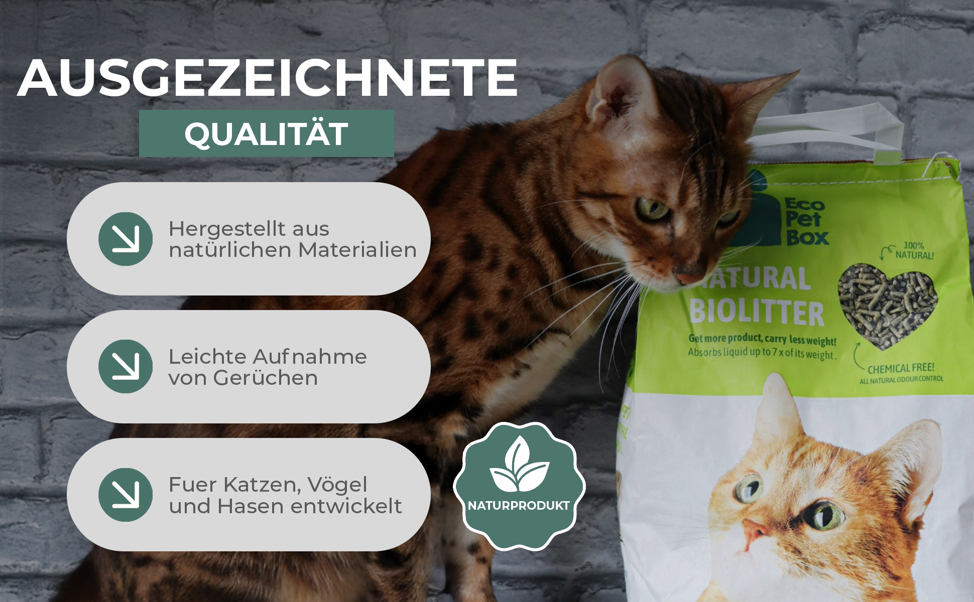 Katze nutzt nachhaltige Katzentoilette aus Karton