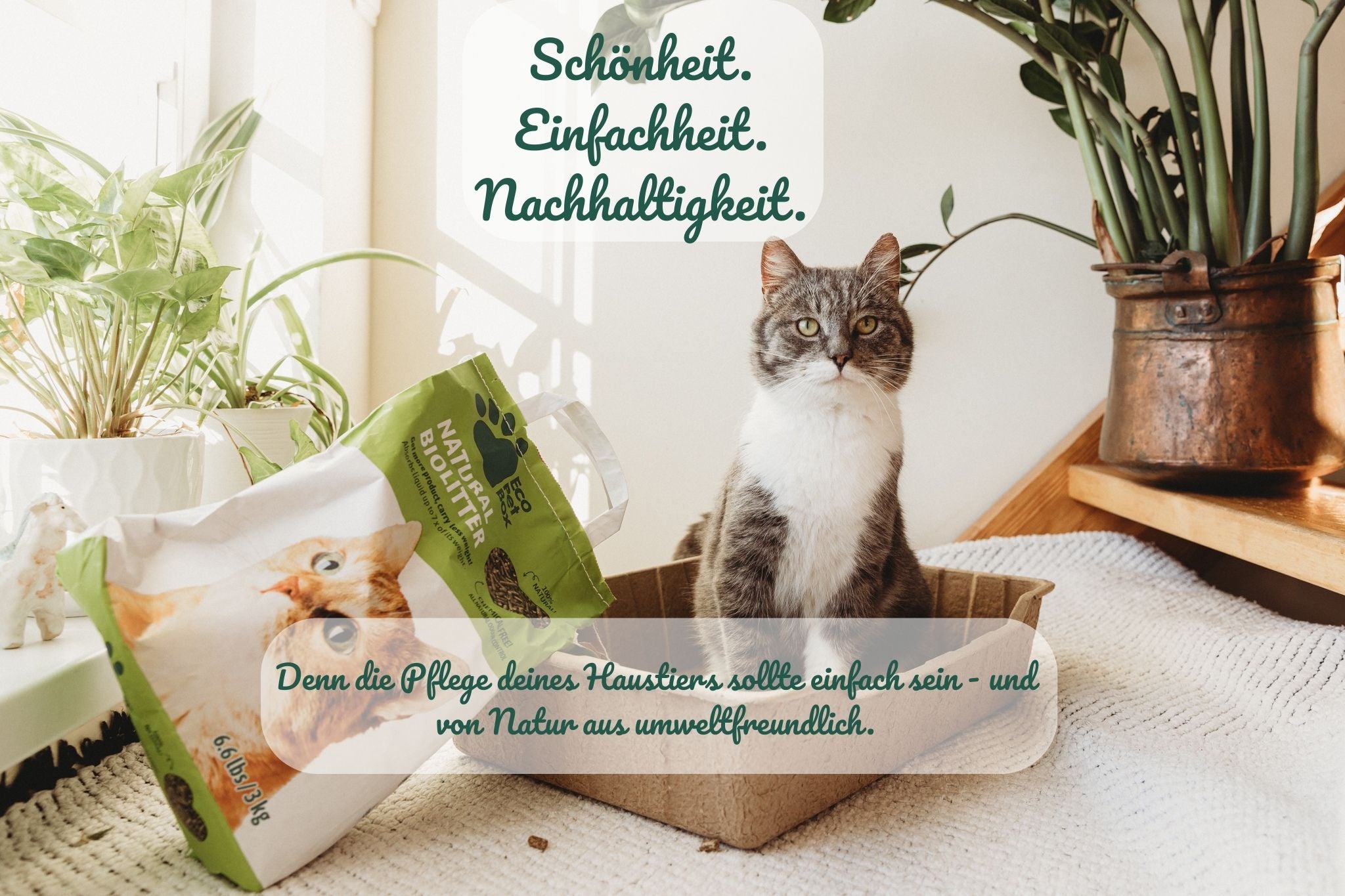 Recyclebare Katzentoilette aus Karton mit hohem Rand