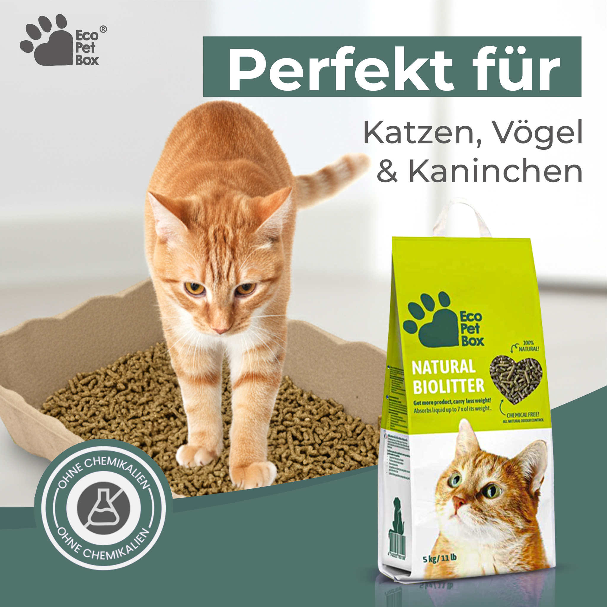 Holzpellets Katzenstreu EcoPetBox