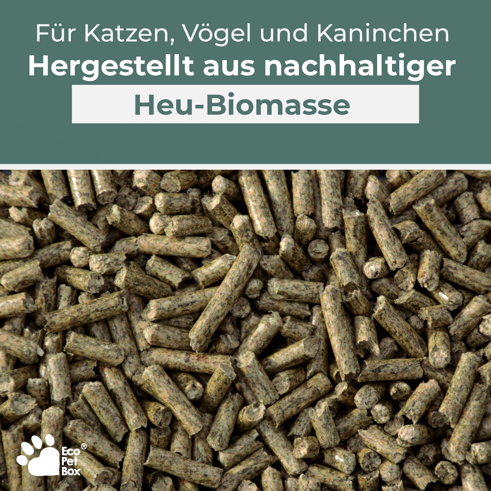 staubarmes Katzenstreu Holz