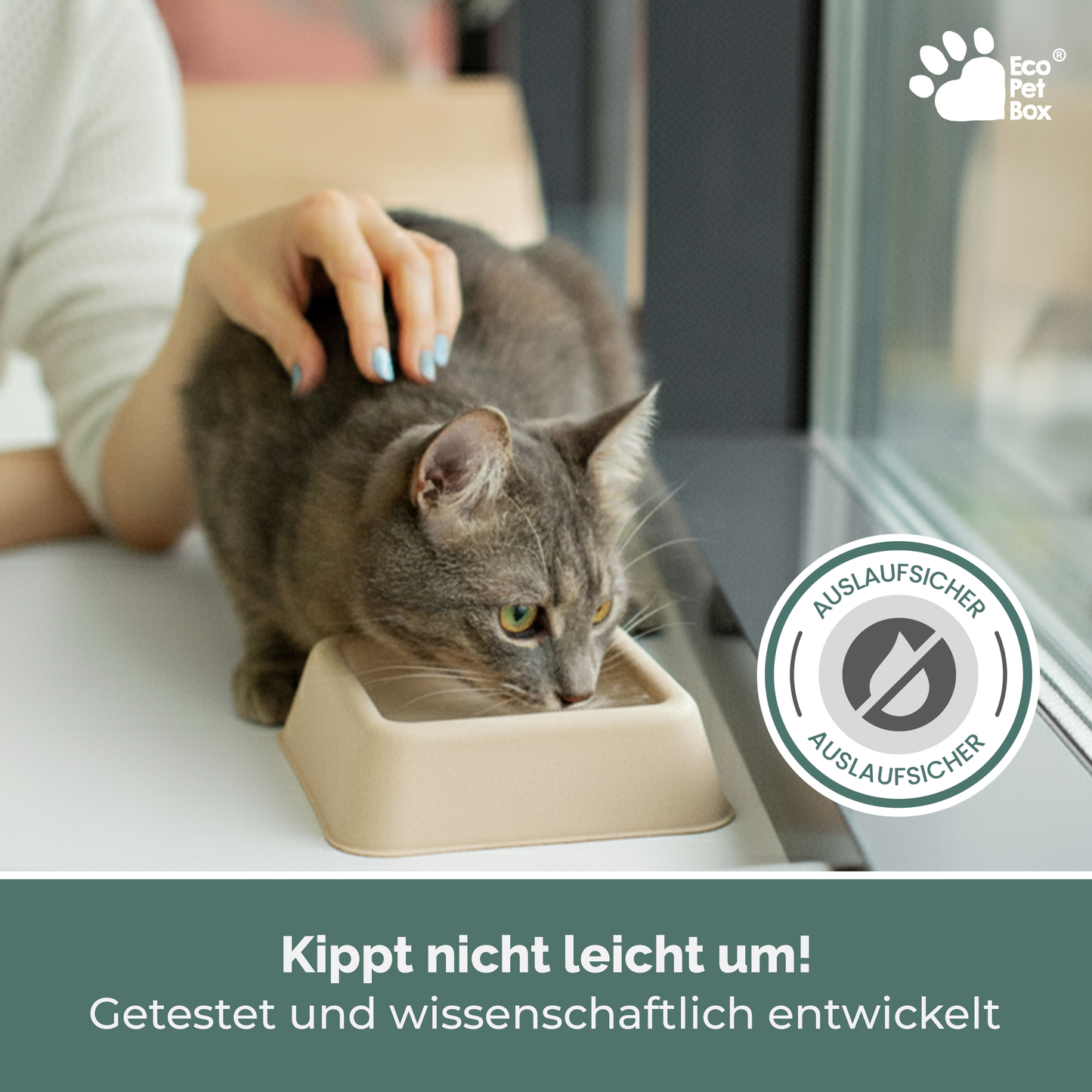 katzen napf set ecoPetBox