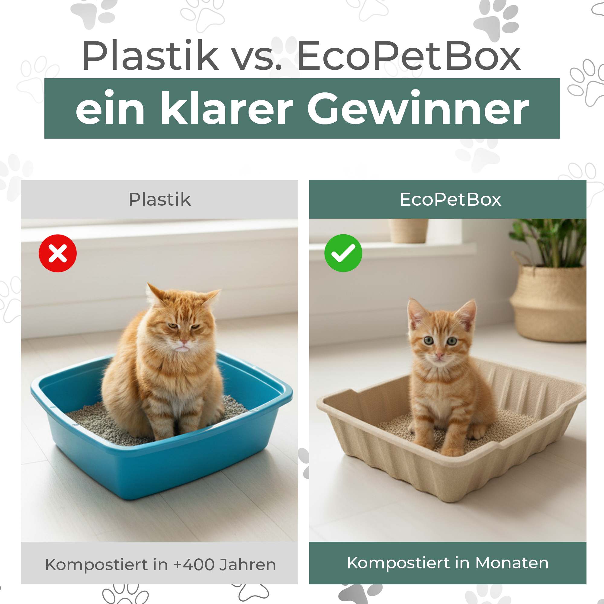nachhaltige Katzentoilette aus Karton