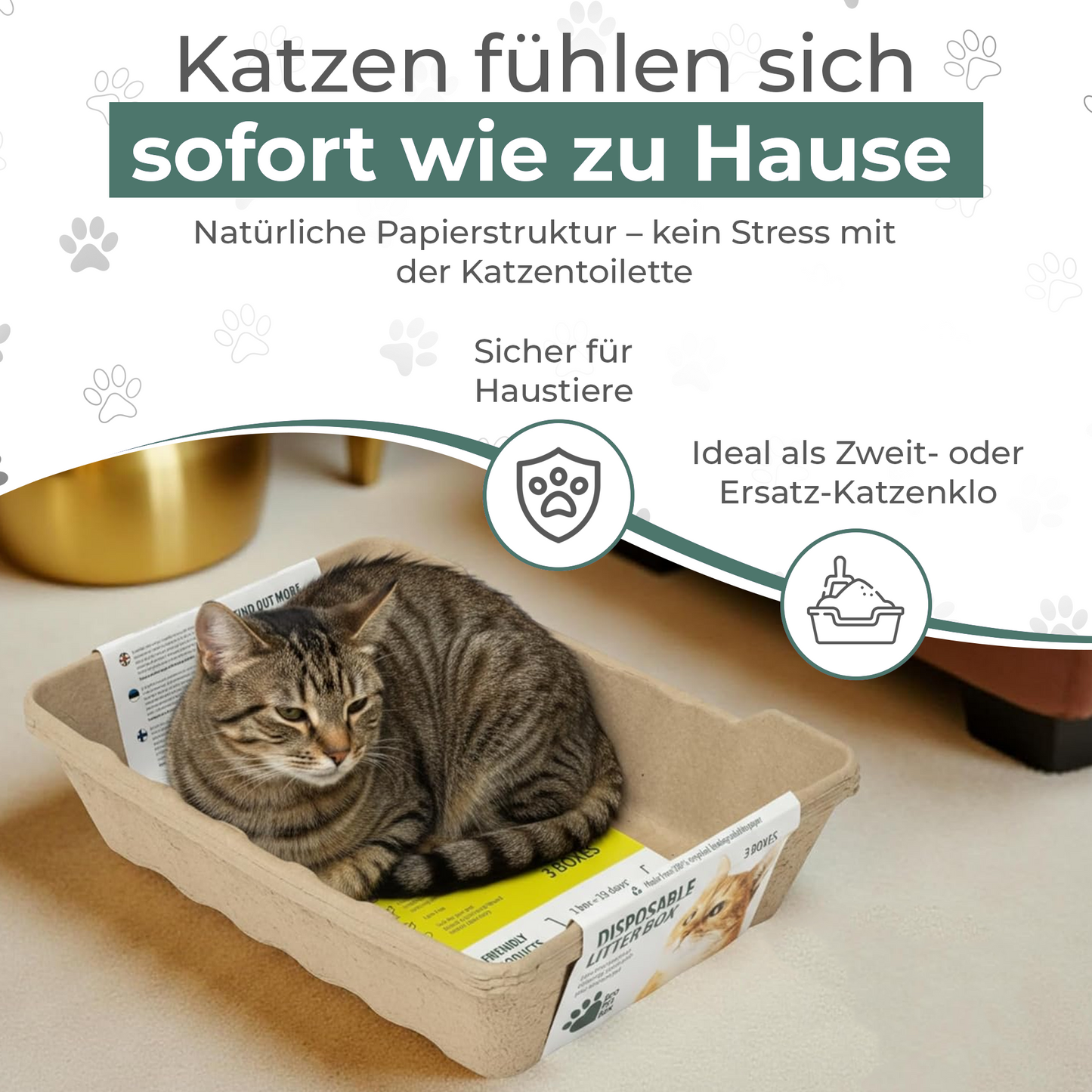 XL Katzentoilette aus Karton mit hohem Rand EcoPetBox