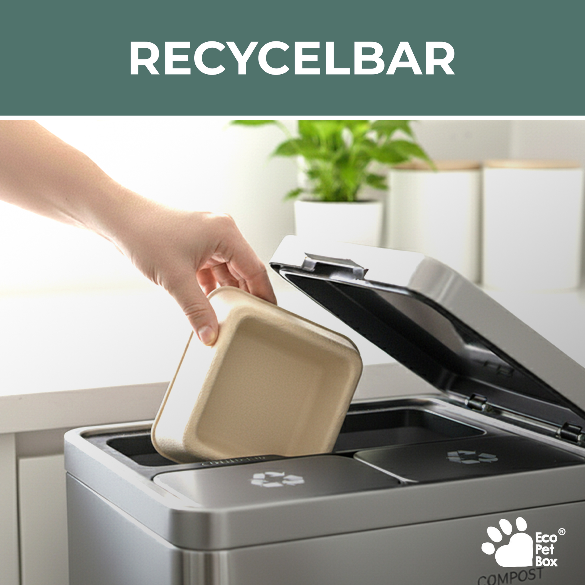 nachhaltiger futternapf katze ecoPetBox