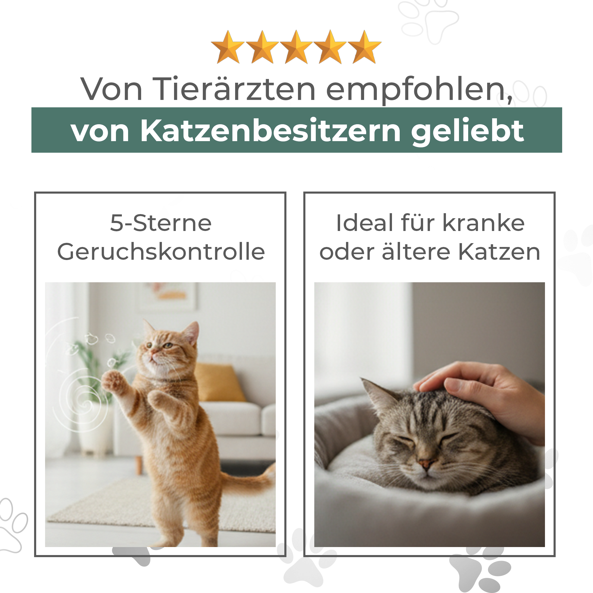 Tierärzte empfohlen
