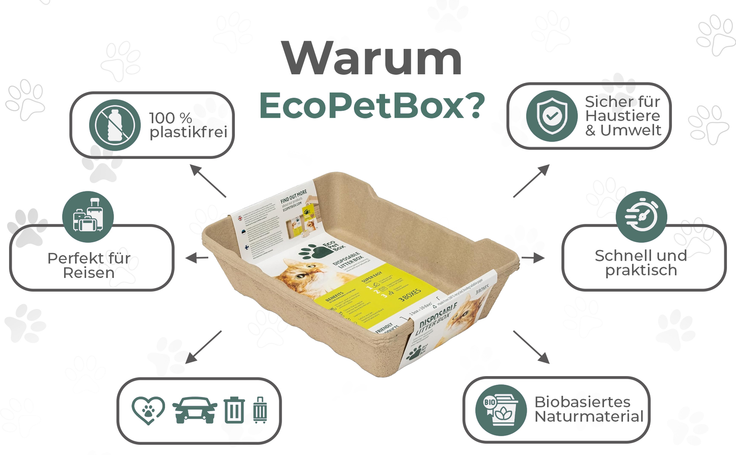Recyclebare Katzentoilette aus Karton mit hohem Rand