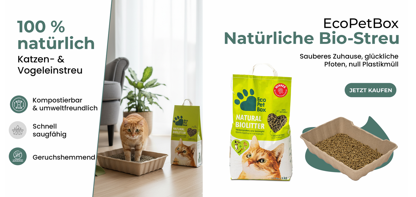Katzenpflege-Set – Nachhaltiges Komplettset für Katzenhygiene